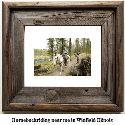 horseback riding near me in Winfield, Illinois